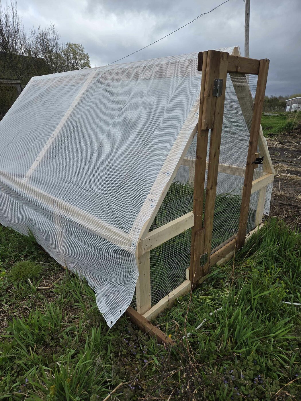 A chicken tractor built at MacGregor Valley Farm, out on pasture